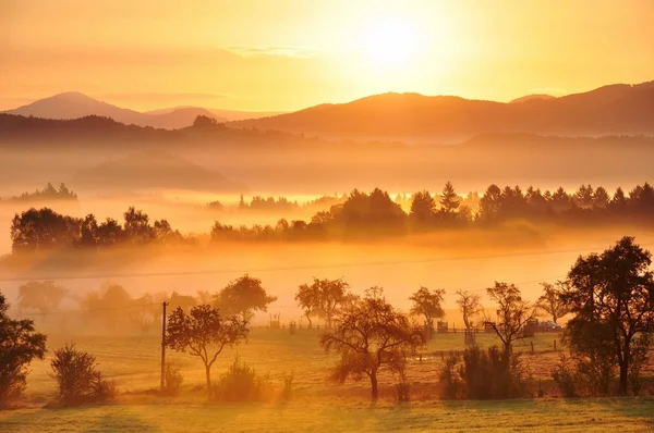 Niebla de otoño — Foto de Stock