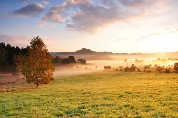 Herbstnebel — Stockfoto