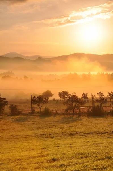 Niebla de otoño — Foto de Stock