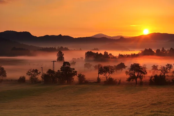 Herfst mist — Stockfoto