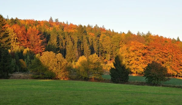 Color de otoño —  Fotos de Stock
