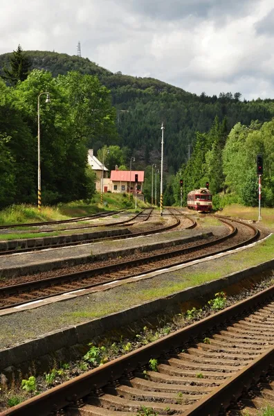 Doğada tren — Stok fotoğraf