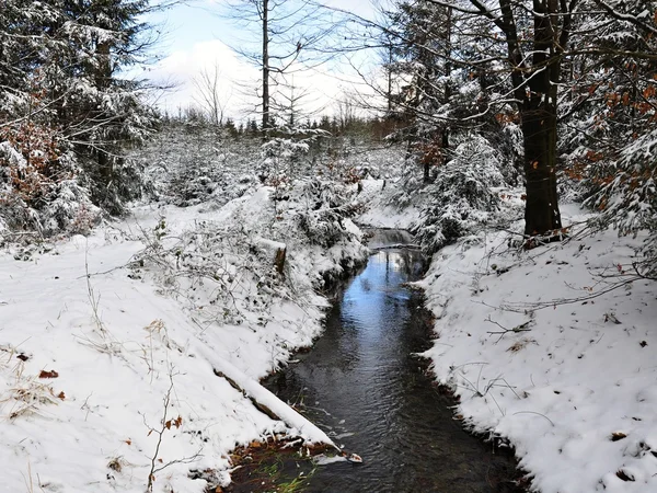 Winter creek — Stockfoto