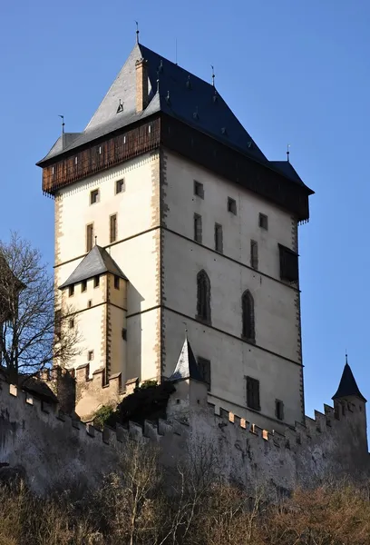 Замок Karlstejn — стокове фото