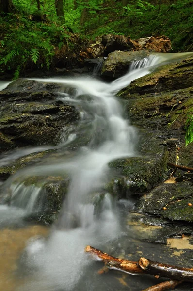 Fiume — Foto Stock