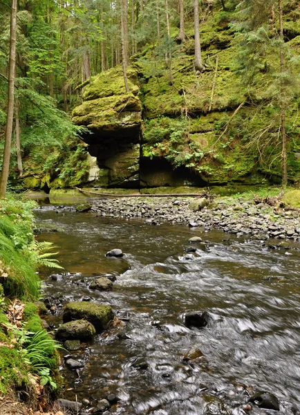 Río poco profundo con piedras — Foto de Stock