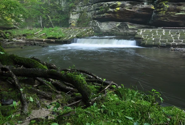 Río Kamenice que fluye hermoso valle arbolado — Foto de Stock