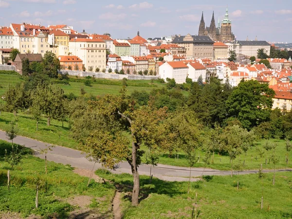 View of Prague — Stock Photo, Image