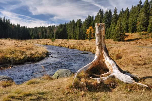 Autumn river — Stock Photo, Image