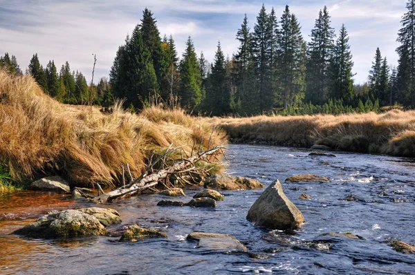 Autumn river — Stock Photo, Image