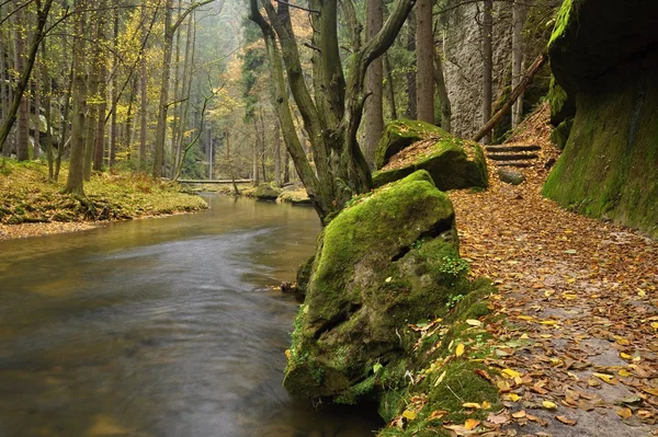 Fiume — Foto Stock