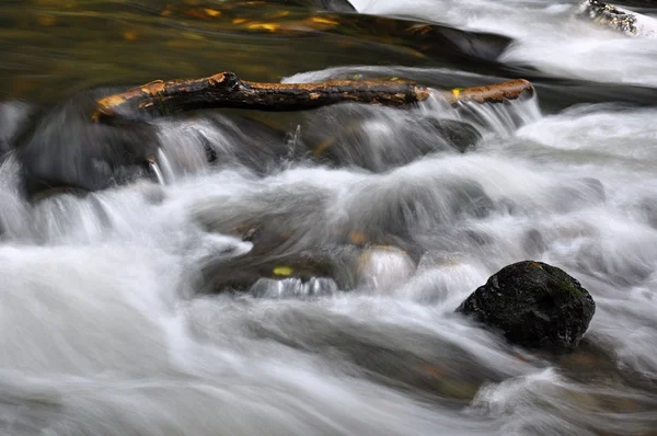 Sonbahar nehir taşları ile — Stok fotoğraf
