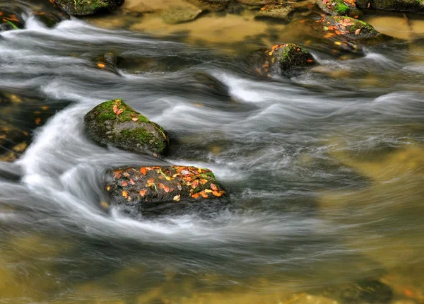 Sonbahar nehir taşları ile — Stok fotoğraf