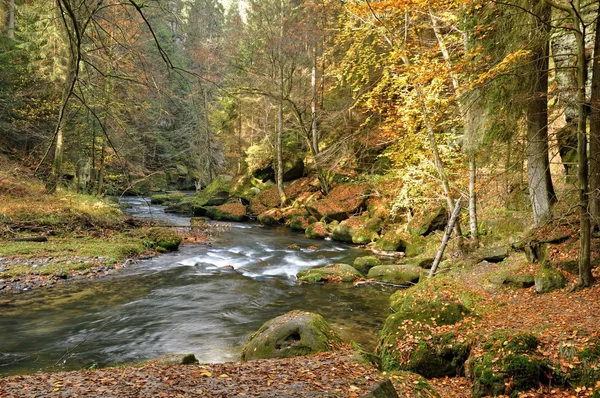 Ποταμός kamenice — Φωτογραφία Αρχείου