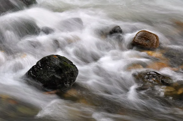Herfst rivier met stenen Rechtenvrije Stockafbeeldingen