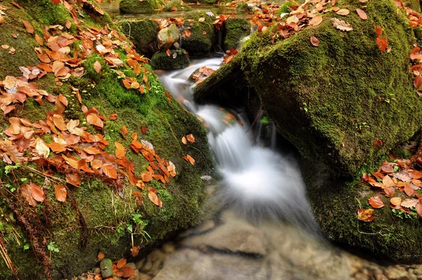 Autumn creek — Stock Photo, Image