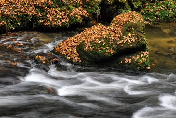 Herbst Fluss mit Steinen — Stockfoto