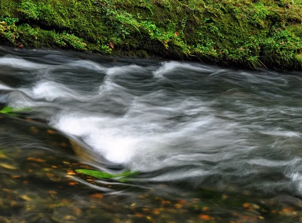 Autumn river Kamenice — Stock Photo, Image