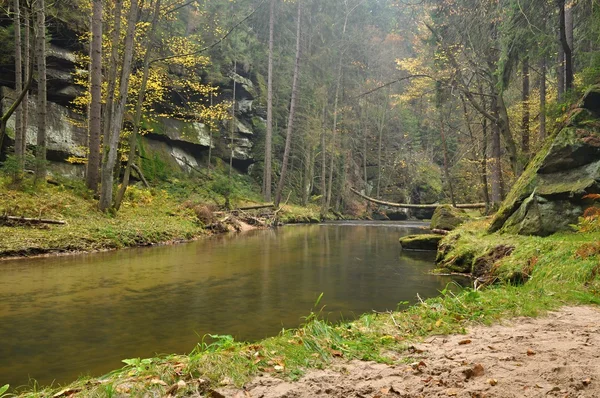 Řeka kamenice v České Švýcarsko — Stock fotografie