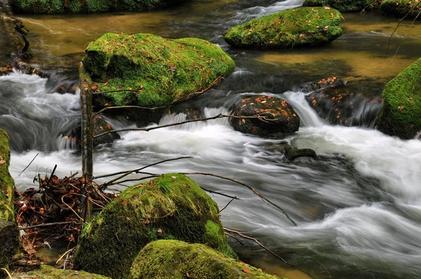 Осенняя река с камнями — стоковое фото