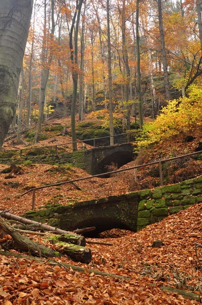 Percorso autunnale — Foto Stock