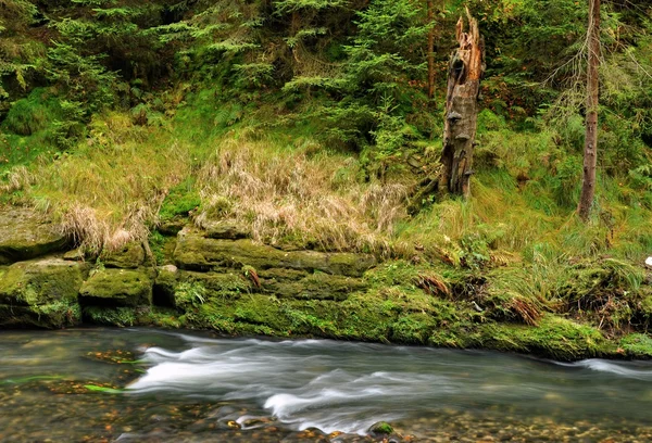 Podzimní creek — Stock fotografie