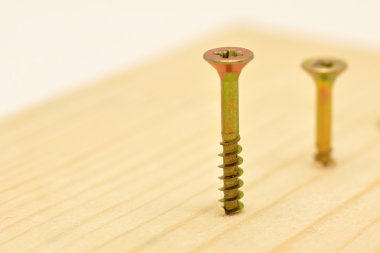 kısmen vidalı vida