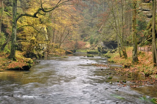 Rivière d'automne avec pierres — Photo