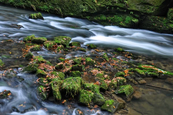 Sonbahar nehir taşları ile — Stok fotoğraf