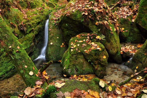 Herbstbach — Stockfoto