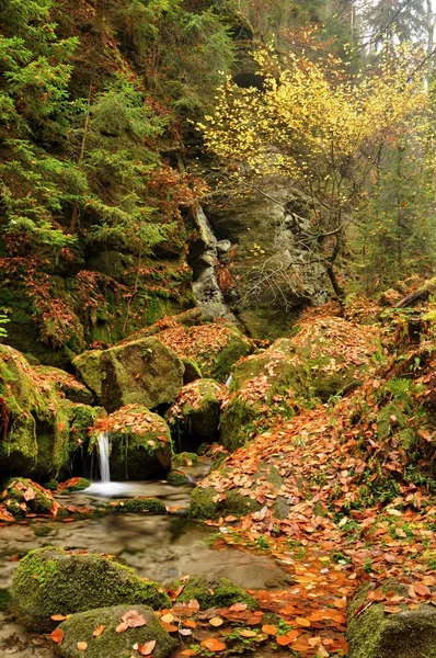 Podzimní creek — Stock fotografie