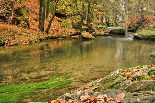 Rivier kamenice Rechtenvrije Stockfoto's