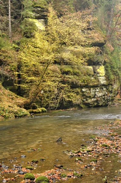 Otoño río con piedras — Foto de Stock