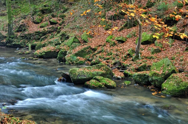 Fiume autunnale con pietre — Foto Stock