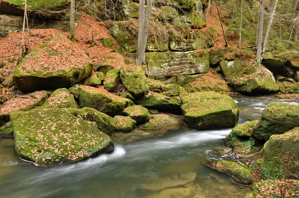 Fiume Kamenice in Svizzera Ceca — Foto Stock