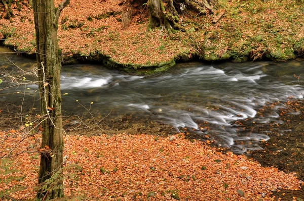 River Kamenice in Czech Switzerland — Stock Photo, Image