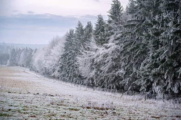 Frosty winter landscape — Stock Photo, Image