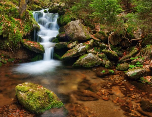 Riacho da Primavera — Fotografia de Stock