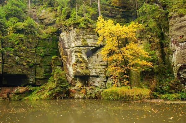 Krásně Čistá Řeka Tekoucí Barevným Podzimním Lesem — Stock fotografie