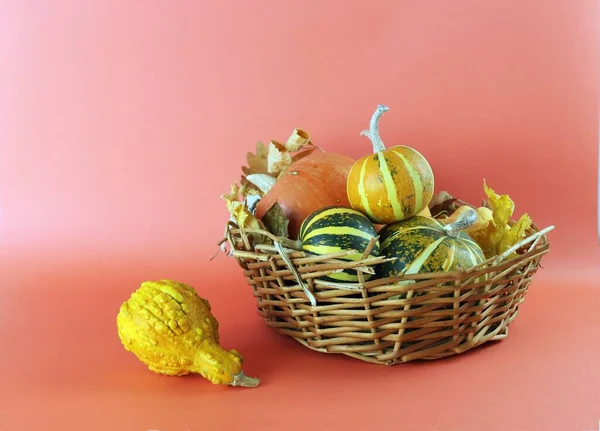 Pumpkins Wicker Basket Orange Background Thanksgiving Harvesting Autumn Halloween — Stock Photo, Image