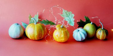 Jack 'in feneri, aydınlatma ve çeşitli balkabakları ve sonbahar yaprakları parlak bir arka planda, Cadılar Bayramı, tebrikler, kartpostal, afiş