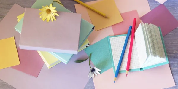 书签上花朵 桌上的记事本 背景是彩色彩色纸 教育的概念 回到学校 免版税图库图片