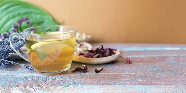 Tasse Grüner Tee Mit Minze Und Zitrone Trockene Blütenblätter Nützlicher — Stockfoto