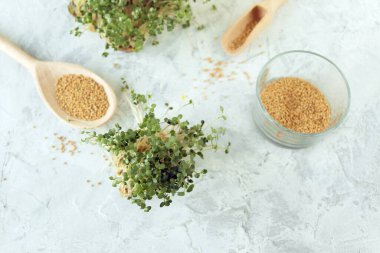 Mikro yeşiller, tahıllar ve hardal filizi masada, doğal organik bitkiler, salata için, sağlıklı gıda konsepti için.