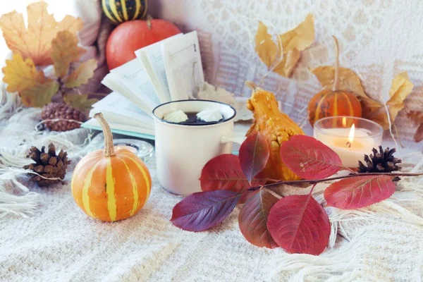 Kürbisse Eine Tasse Kaffee Herbstblätter Brennende Kerzen Und Ein Aufgeschlagenes — Stockfoto