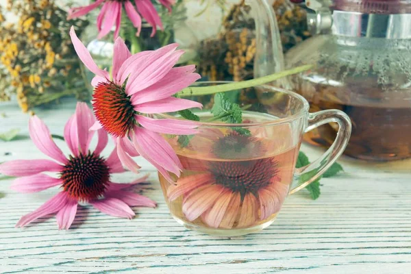 Healing Tea Fresh Echinacea Flowers Mint Glass Cup Teapot Wooden — Stockfoto