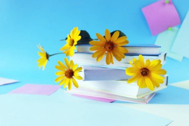 A stack of books with bookmarks from fresh chamomile flowers, on the background of note paper in pastel colors, the concept of education, back to school, reading, library, congratulation, postcard