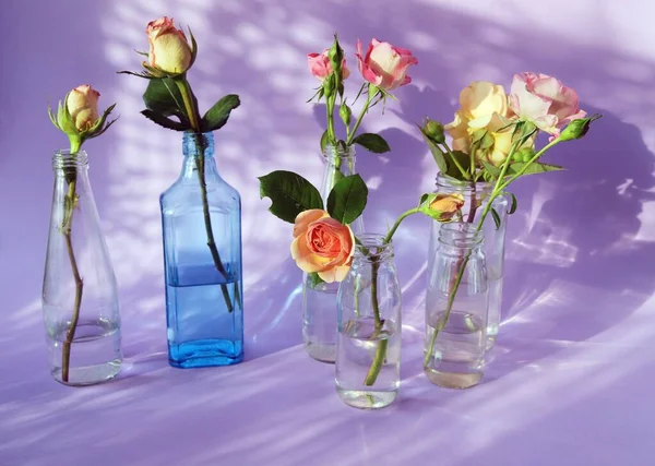 Frische Rosa Rosen Gläsernen Transparenten Vasen Blumen Für Romantische Grüße — Stockfoto