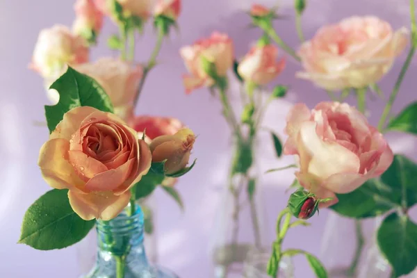 ガラスの透明な花瓶の新鮮なピンクのバラ ロマンチックな挨拶のための花 幸せな誕生日 招待状 はがき — ストック写真