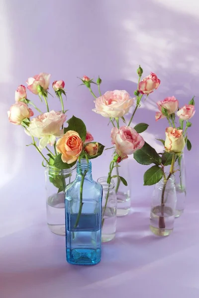 Frische Rosa Rosen Gläsernen Transparenten Vasen Blumen Für Romantische Grüße — Stockfoto